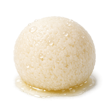 The Authentic Rosogolla Experience